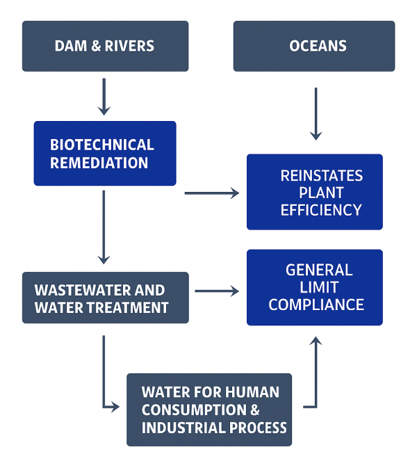 46e6dc96-1196-4ec1-83ab-d577e5748d00